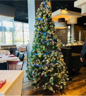 chritmas-celebration-image-1